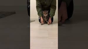 Ronaldo drole, messi drole, drogba drole foot : Bhsuivql8i0km