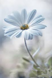 Pin On Cute Pictures