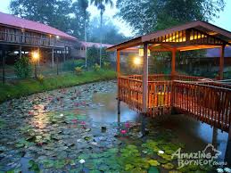 These activities give a tremendous boost in the group's value and create thousands of job opportunities. North Borneo Express Sunset Dinner Cruise 7 Days Amazing Borneo Tours