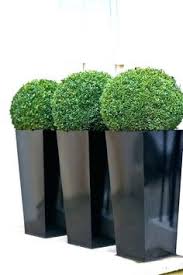 Blooming artificial outdoor plants can be placed or planted wherever you want so you can enjoy instant greenery and all the glory with none of the work! 900 Artificial Plants Garden Ideas Artificial Plants Plants Artificial Plants Outdoor