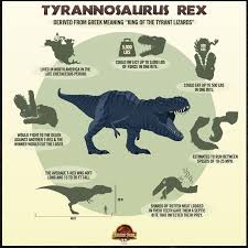 Tyrannosaurus Rex Size Chart Google Search In 2019