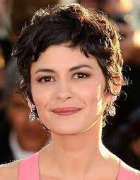 25 Best Pixie Hairstyles 2014 2015 12 Curly Pixie Hairstyles Curly Pixie Haircuts Thick Hair Styles