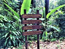 Entrance to kl forest eco park. Canopy Walk Forest Eco Park In The Middle Of City Centre Kuala Lumpur Driftsoul