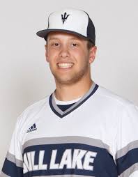 Meet the 2019 Battle Creek Enquirer All-Area Baseball Team