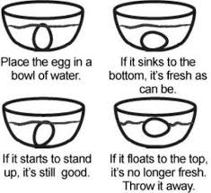 How To Test An Egg For Freshness Food And Drink
