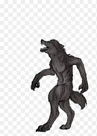 Check spelling or type a new query. Fox Tf Png Images Pngegg