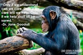 14 Quotes Every Animal Advocate Should Know By Heart Animal Quotes Wildlife Quotes Cute Endangered Animals