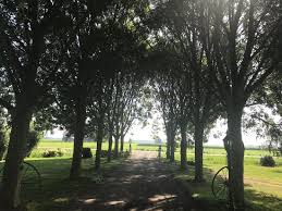 3:24 marco klokker 254 просмотра. Bantega Photos Featured Images Of Bantega Friesland Province Tripadvisor