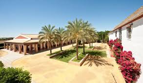 Image result for Atalaya alata