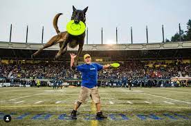 Halftime Dogs World Famous Frisbee Dogs Halftime Show