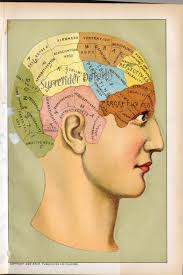 Phrenology Art