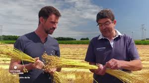 Découvrez des centaines d'idées balades et circuits de randonnées en france avec se balader : La Vallee Du Lin Histoire De Se Balader En Normandie Youtube