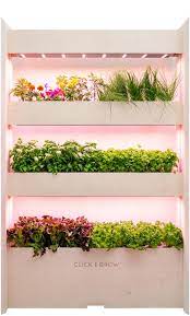 The Wall Farm Indoor Vertical Garden Click Grow Vertical Vegetable Garden Vertical Herb Garden Vertical Garden Indoor