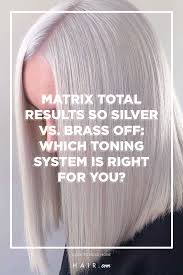 Should You Use Matrix Total Results So Silver Or Brass Off Hair Com By L Oreal Matrix Total Results Silver Matrix