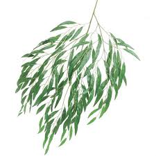 Browse our wide selection of beautiful accent trees, flowering shrubs, perennials & more. Pin On Tat It Up