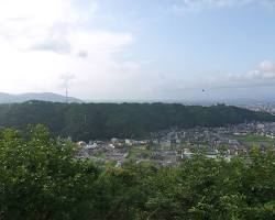 足羽山の画像