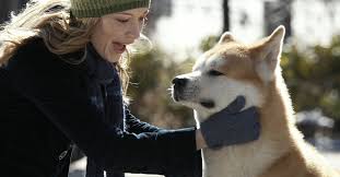 Wkrótce między nim a zwierzęciem rodzi się niezwykła więź. Hachiko Eine Wunderbare Freundschaft Stream Streaminganbieter Kino De