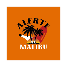 L'actrice yasmine bleeth est devenue méconnaissable T Shirt Alerte Au Malibu Parodie Baywatch Orange