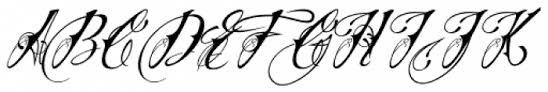 For commercial projects please refer to the license file in the package or contact the. Vtc Nuetattooscript Font Download For Free Ffonts Net