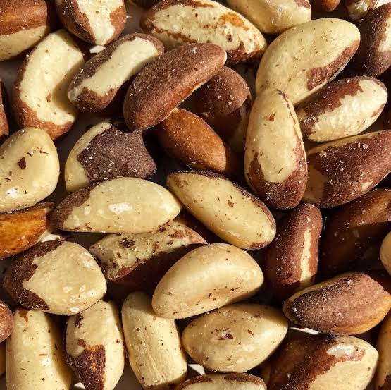Brazil Nuts for International Export