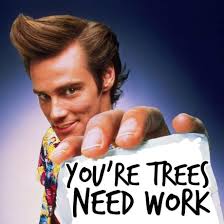 Liberty Tree Professionals LLC