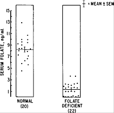 Image result for Serum Folate