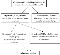 Necrotizing Fasciitis Following Venomous Snakebites In A