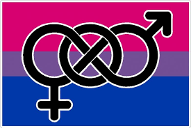 Sɴᴀᴋᴇ.ғx — bisexual anthem (flip edition) 03:55. Guest Commentary 3 Things All Bisexuals Want You To Know
