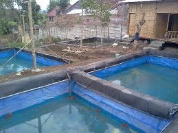 Jenis Kolam Terpal Dan Cara Membuatnya Untuk 1000 Ekor Ikan