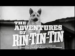Las Aventuras De Rin Tin Tin Serie De Tv Espanol Latino Old Tv Shows Tv Old Tv