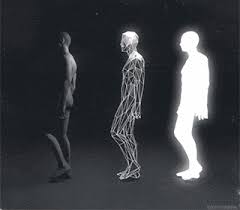 Resultado de imagen para imagenes del hombre tripartito