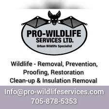 Eider`s down bed and breakfast. Bill S Quality Pest Control Home Facebook