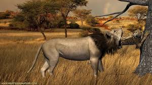 Swallowed Whole - Ultimate Submission