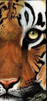 500 Tyger Ideas Tiger Art Animal Art Tiger Painting Vintage monochrome skateboarding prints vector. 500 tyger ideas tiger art animal