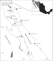 Check spelling or type a new query. Nutritional Content Of Totoaba Macdonaldi Gilbert 1890 Antioxidants And Lipid Peroxidation In Muscle Peerj
