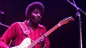 Image result for Albert Collins