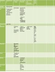 bio120 comparison between major plant groups similaritie s