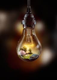 Light Bulb Of Life On Behance Bulb Photography Light Bulb Art Miniature Photography