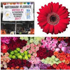 Based on crime, public schools, cost of living, job opportunities, and local amenities. Needham Florist Home Facebook