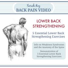 Incorporate these moves into your workout schedule to help avoid lower back injury or weakness. Lower Back Strengthening Exercises Video