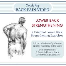 They are divided into three groups, as shown below. Strengthening Back Muscles All Products Are Discounted Cheaper Than Retail Price Free Delivery Returns Off 60