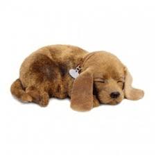 nefes alan oyuncak hayvanciklar sevgilihediyem com