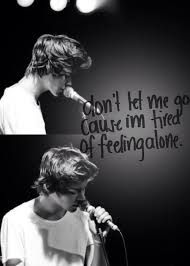 Don T Let Me Go Luv This Song But All The Boys Should Sing It One Direction Lyrics I Love One Direction Harry Styles