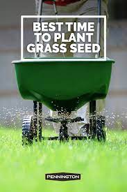 The Best Time To Plant Grass Seed Grass Seed Grass Lawn Care Tips