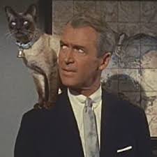Amazon Com Bell Book And Candle James Stewart Kim Novak Jack Lemmon Ernie Kovacs Hermione Gingold Elsa Lanchester Janice Rule Richard Quine Julian Blaustein Phoenix Productions Inc Movies Tv