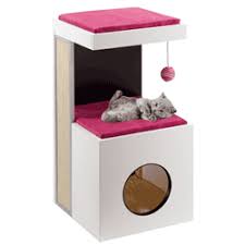 Pisicile se ataseaza enorm de stapani, iar mirosul acestora le face sa se simta in siguranta.stiu,pentru ca si eu am 3 pisici.bafta. ØºÙŠÙ… Ù†Ø¸Ø±ÙŠØ© Ø±Ø§Ø³Ø®Ø© Ù„Ø§Ø¦Ù‚ Ø¨Ø¯Ù†ÙŠØ§ Casute Pisici Emag Zetaphi Org