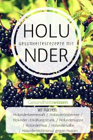 Holunder Holunder Heilpflanzen Holundersaft