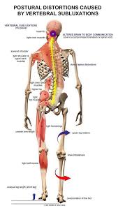 They move our bones and associated body parts by pulling on them however, muscle contraction cannot act to push the bone back into its original position, and because of this, muscles work in 'antagonistic muscle pairs'. Get Neck And Lower Back Pain Relief San Antonio Thrive Head Spinal