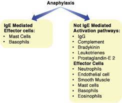 It can occur suddenly, can worsen anaphylaxis symptoms occur suddenly and can progress quickly. Non Ige Mediated Anaphylaxis Journal Of Allergy And Clinical Immunology
