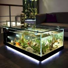 Les modèles de chez comforium s'adaptent aux usages, à la superficie disponible et à ses besoins. Benefits Of A Freshwater Aquarium Table Basse Aquarium Table De Salon Aquarium Maison